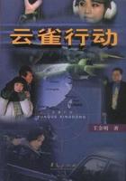 云雀叫天录 电视剧免费播放
